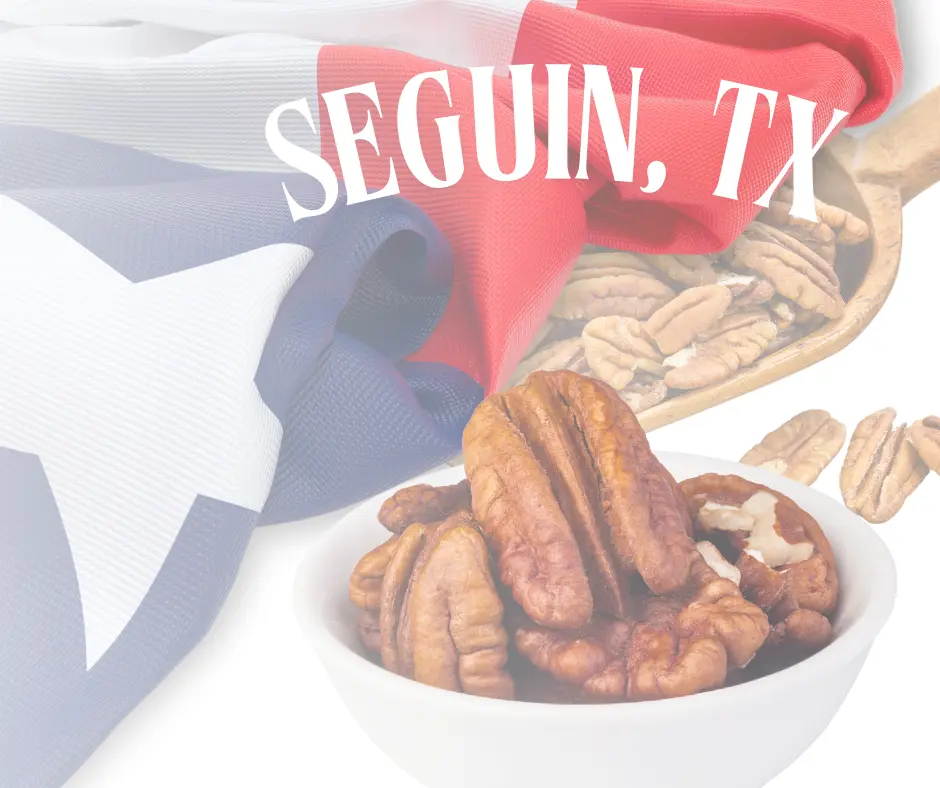Seguin 2 webp