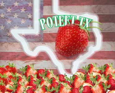 Poteet, TX webp